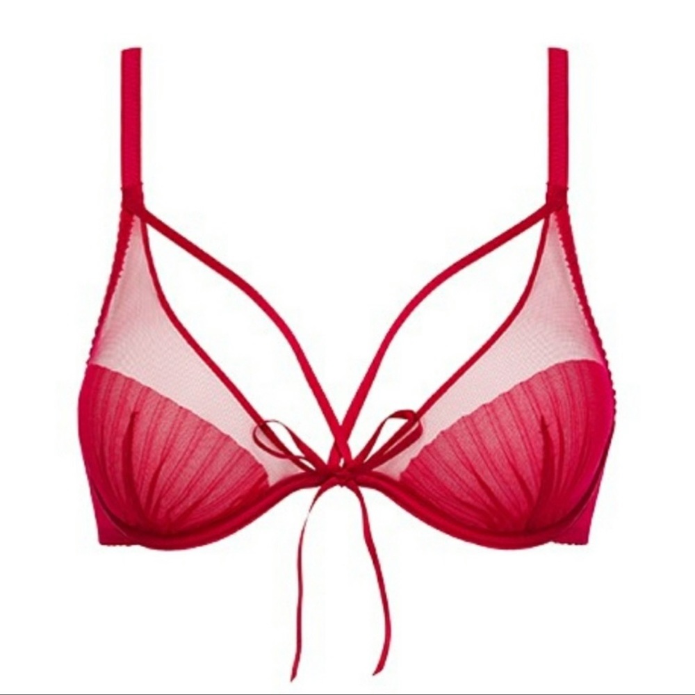 NWOT charmeuse plunge passionata shell sheer bra